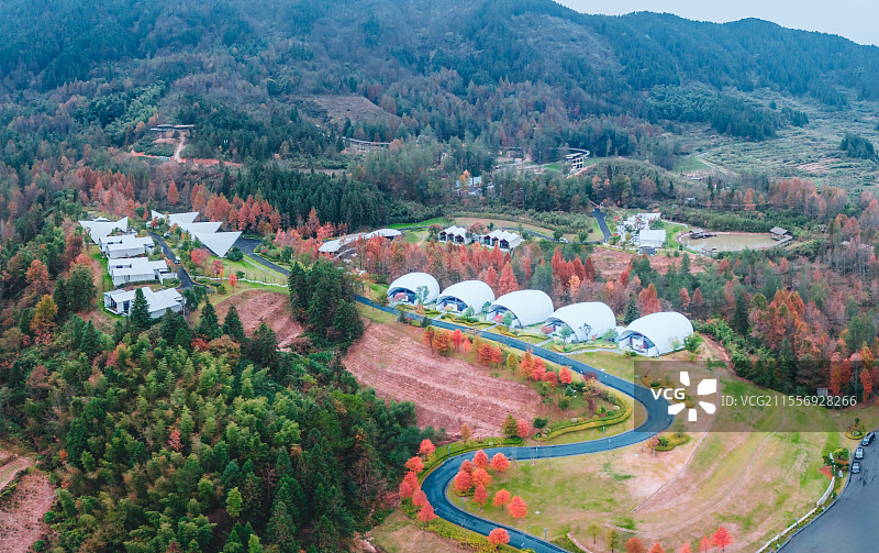秋天森林中的度假村小屋图片素材