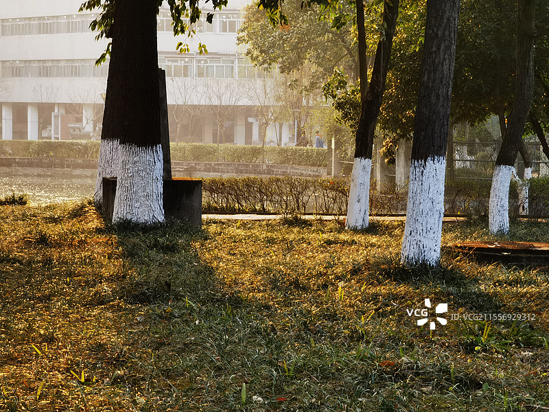 成都理工大学校园一角图片素材