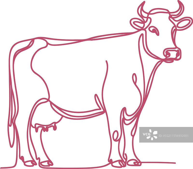 简约风格的牛线条画图片素材