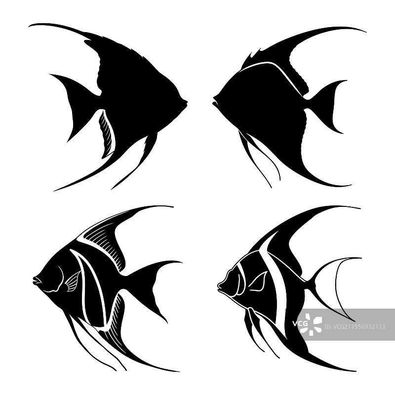天使鱼剪影套装图片素材