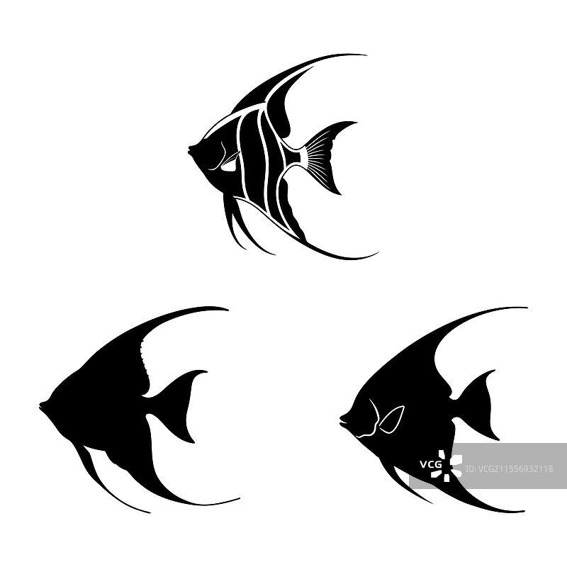 天使鱼剪影套装图片素材