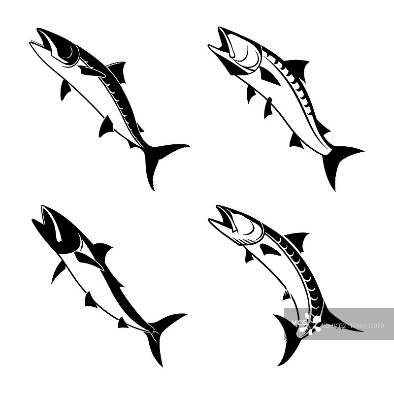 梭鱼轮廓图集图片素材