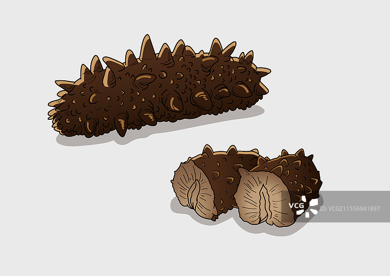 海参插画图片素材