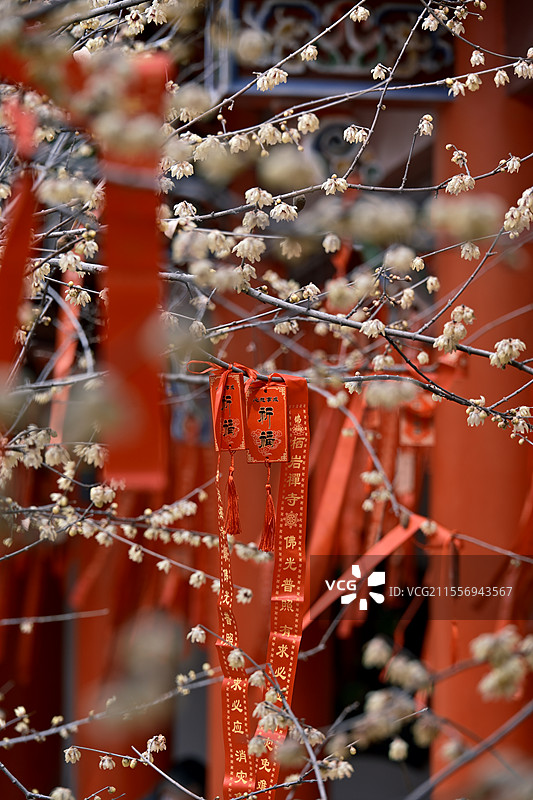 蚌埠栖岩寺图片素材