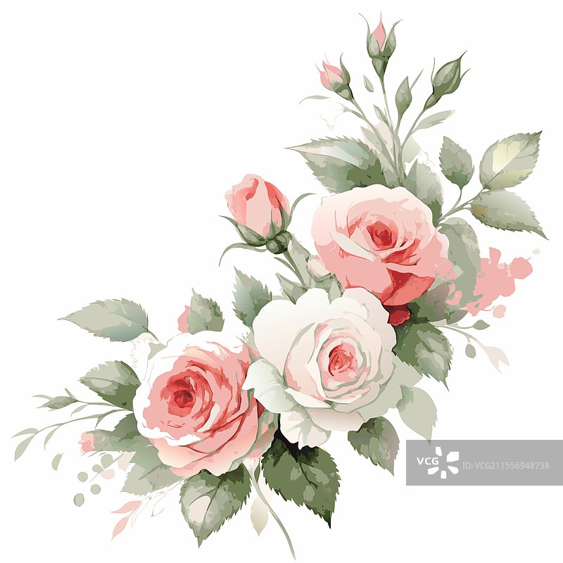 浪漫的水彩玫瑰花束，优雅的花卉设计图片素材