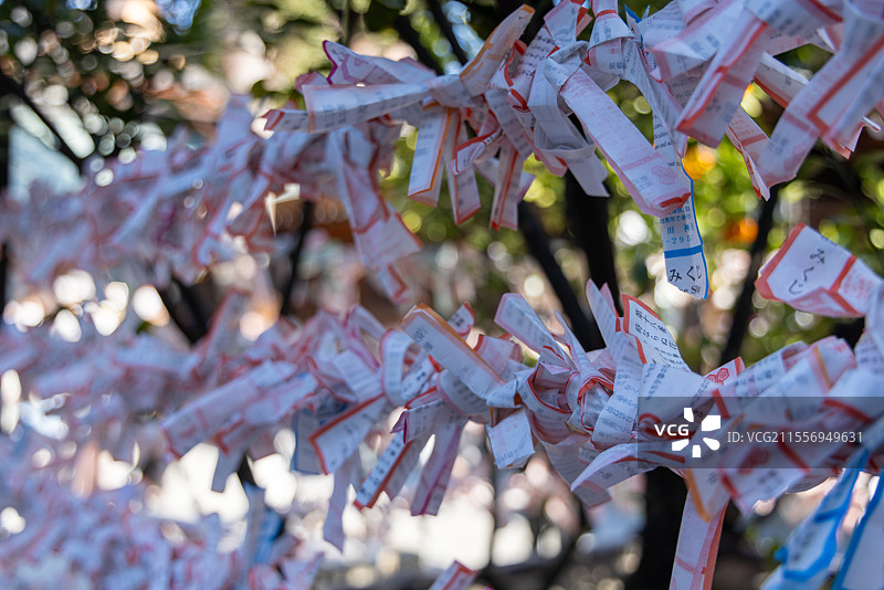 日本九州福冈博多区 栉田神社 绑在一起的神签图片素材