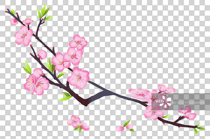 桃花-盛开-元素图片素材