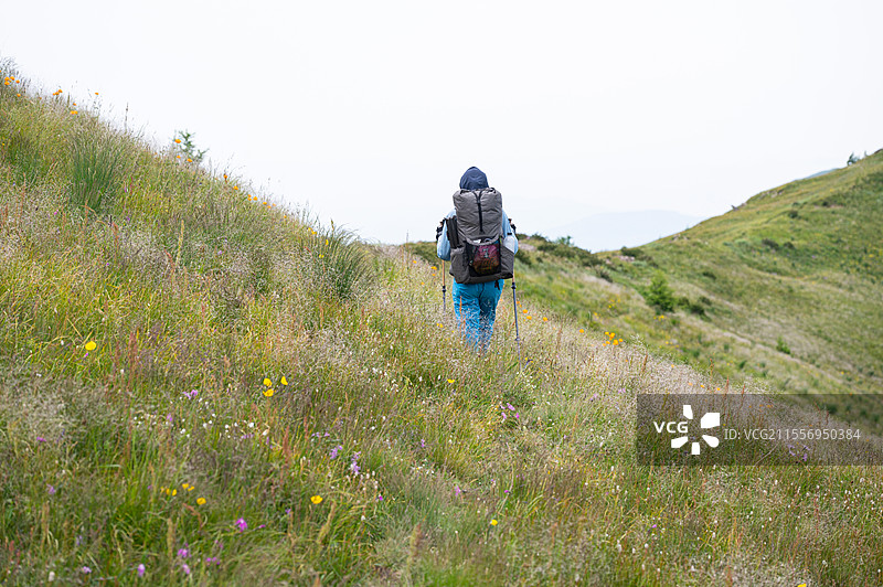 河北蔚县那座山重装徒步金莲花夏天秘境图片素材