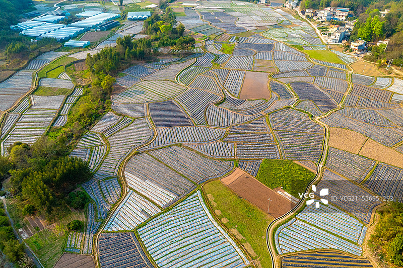 中国广西荔浦市春日田园风光美图片素材
