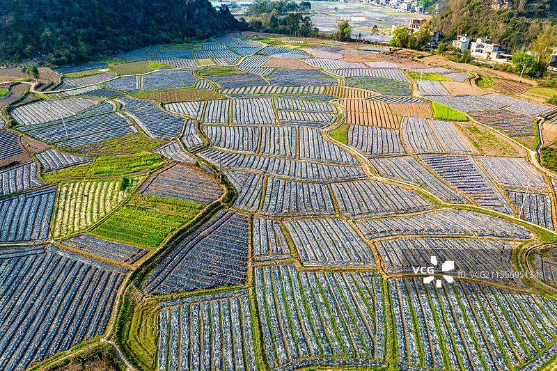 中国广西荔浦市春日田园风光美图片素材