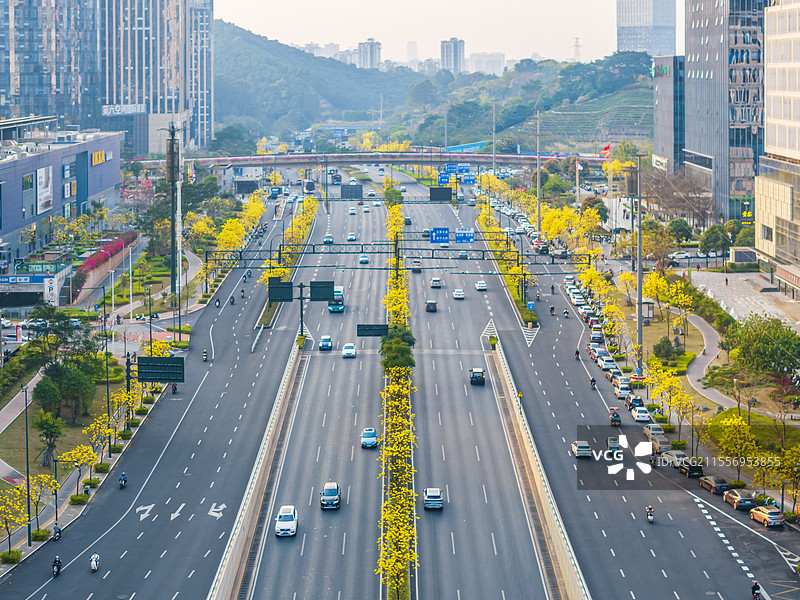 南宁五象新区黄花风铃木航拍图片素材