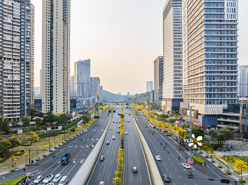 南宁五象新区黄花风铃木航拍图片素材