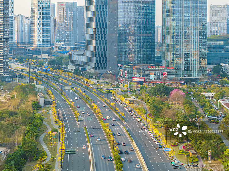 南宁五象新区黄花风铃木航拍图片素材