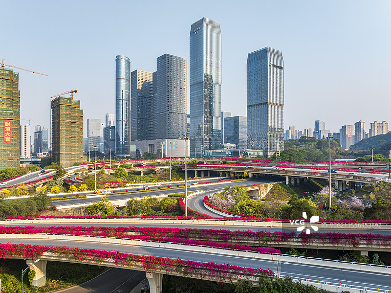 南宁五象新区黄花风铃木航拍图片素材