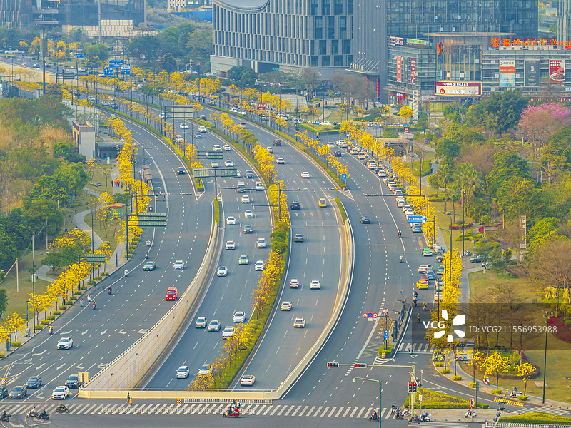 南宁五象新区黄花风铃木航拍图片素材