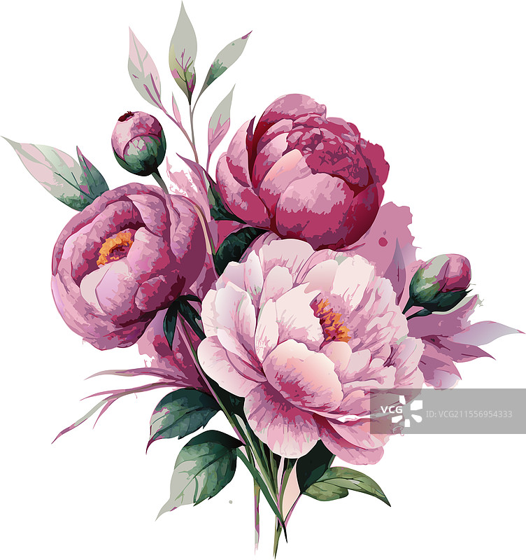 优雅的牡丹花水彩风格植物画图片素材