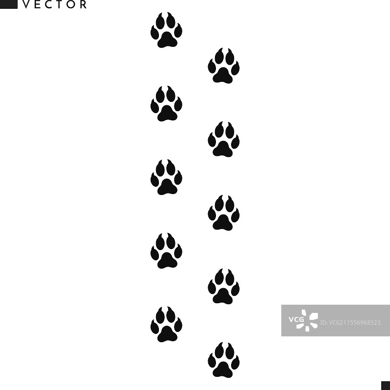 狐狸足迹动物踪迹图片素材