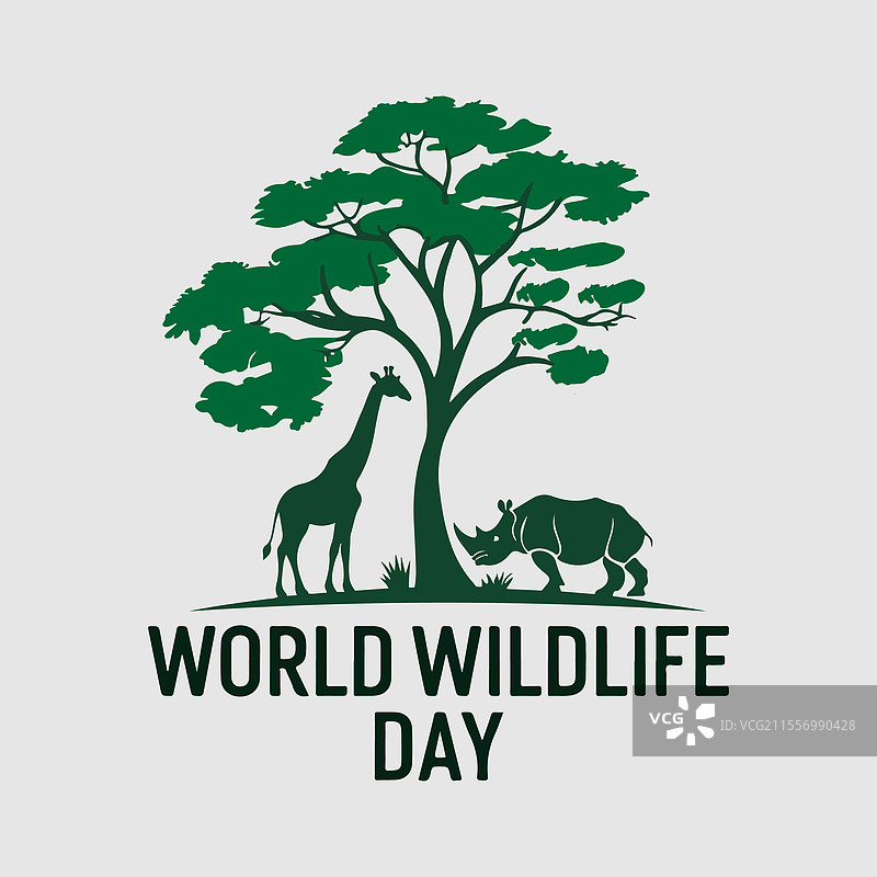 野生动物日独特艺术图片素材