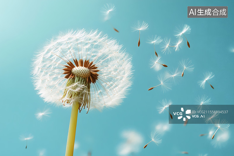 【AI数字艺术】微风吹着蒲公英，种子随风飘逸图片素材
