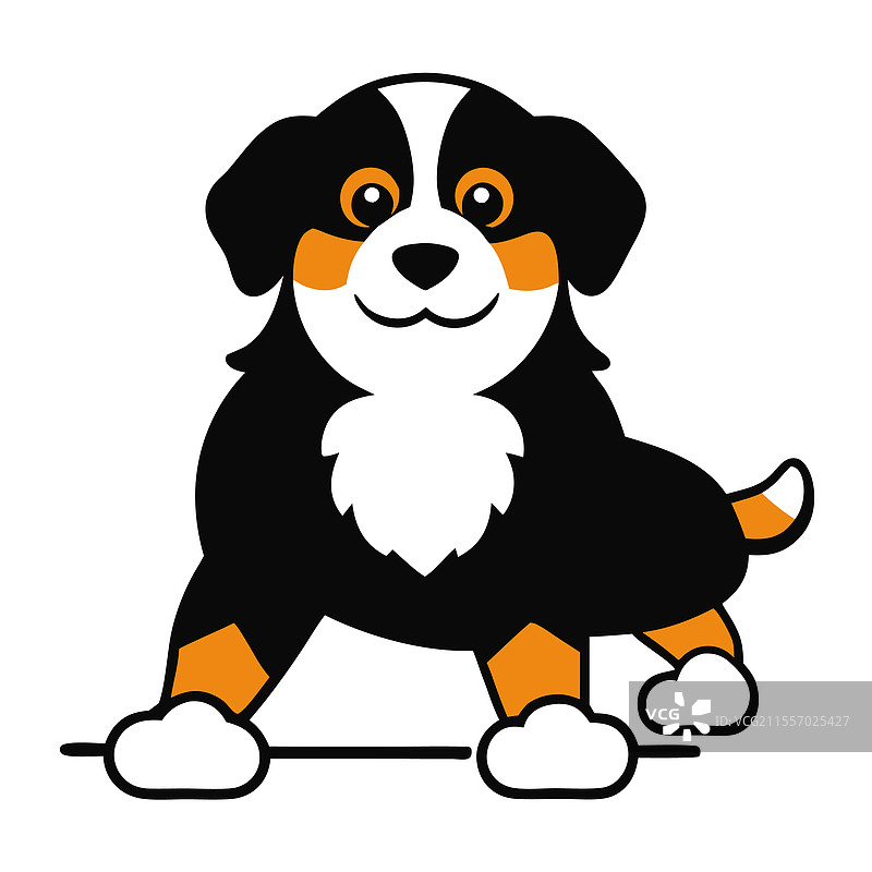 有趣的伯恩山犬艺术作品图片素材