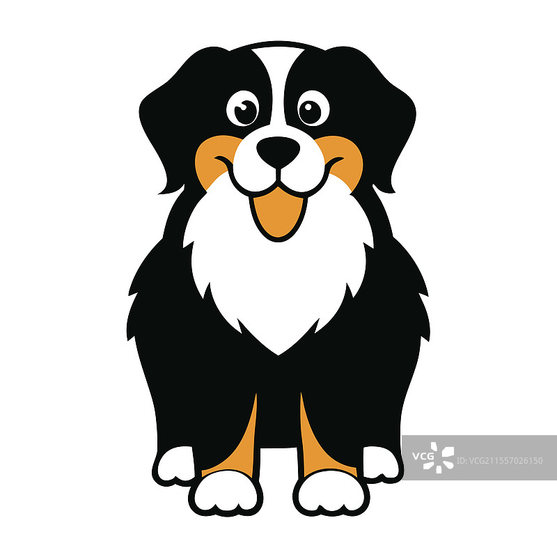 有趣的伯恩山犬艺术作品图片素材