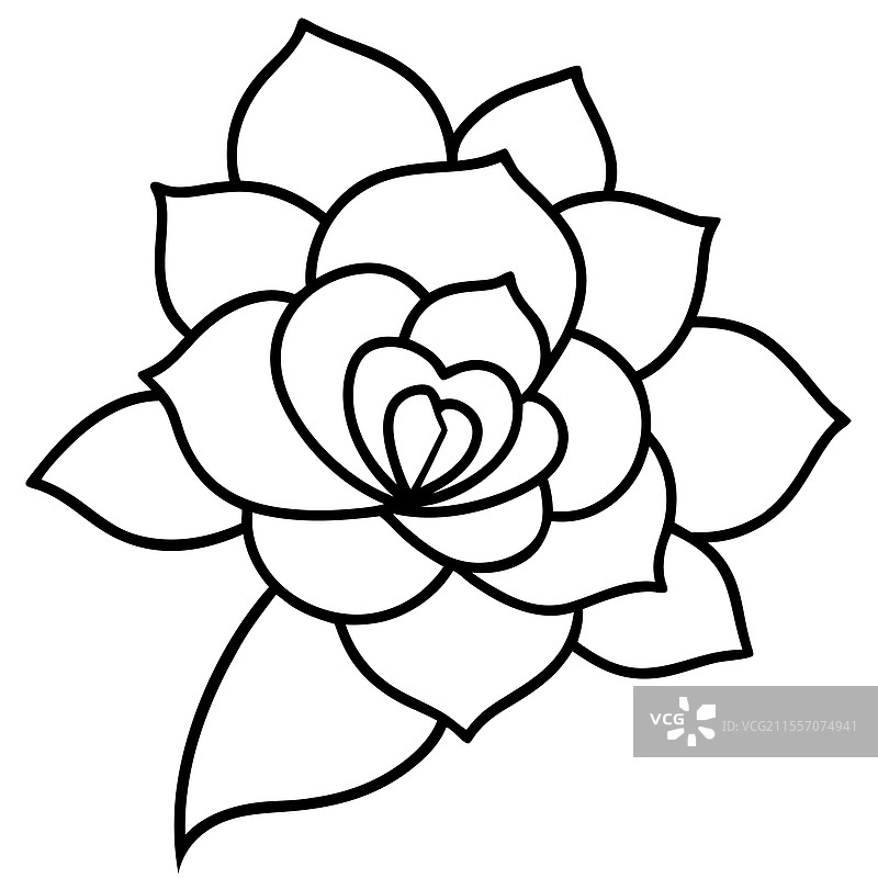 优雅的黑白风格花卉剪影图片素材