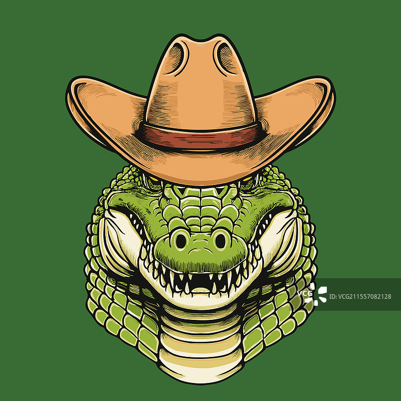 戴着牛仔帽的鳄鱼图片素材