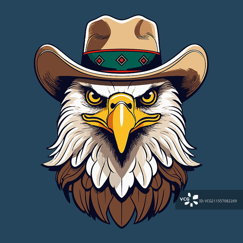 可爱的秃头鹰戴着牛仔帽图片素材