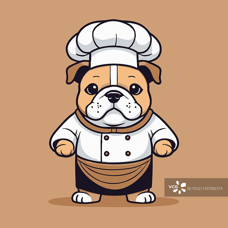 可爱的小斗牛犬穿着厨师服装图片素材