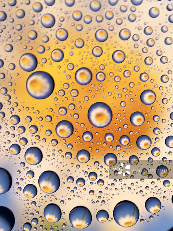 水滴拍花图片素材