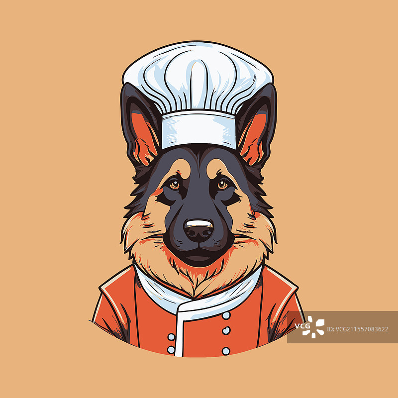 可爱的德国牧羊犬穿着厨师服装图片素材