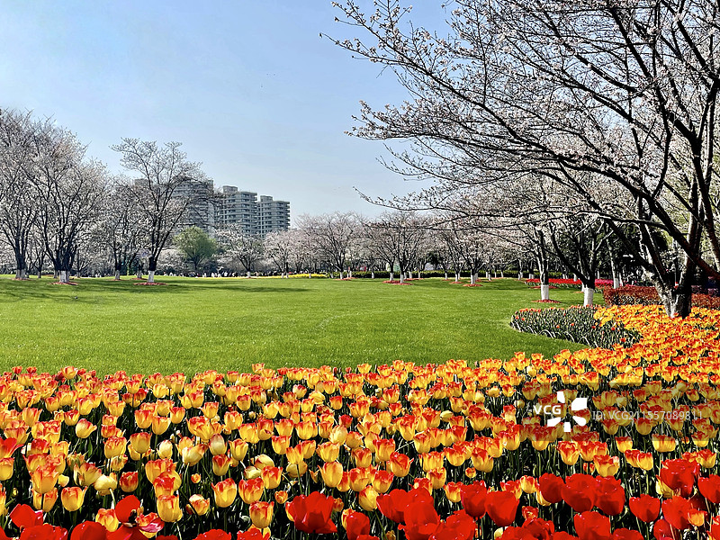 绍兴·瓜渚湖的春天图片素材