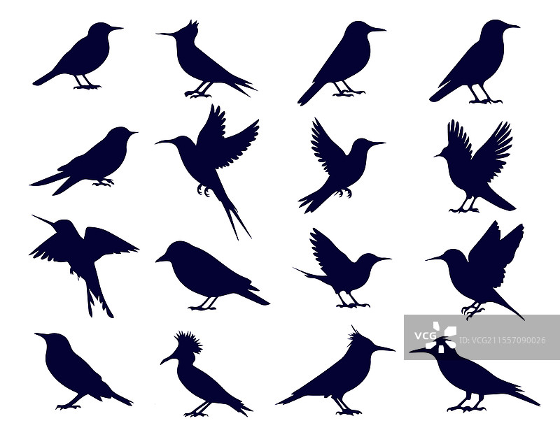 飞鸟剪影插图合集图片素材