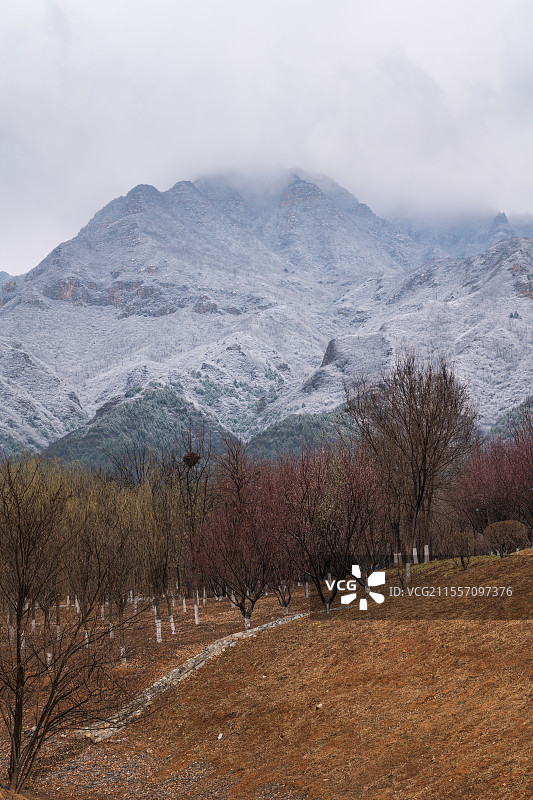 初春山景与枯枝图片素材