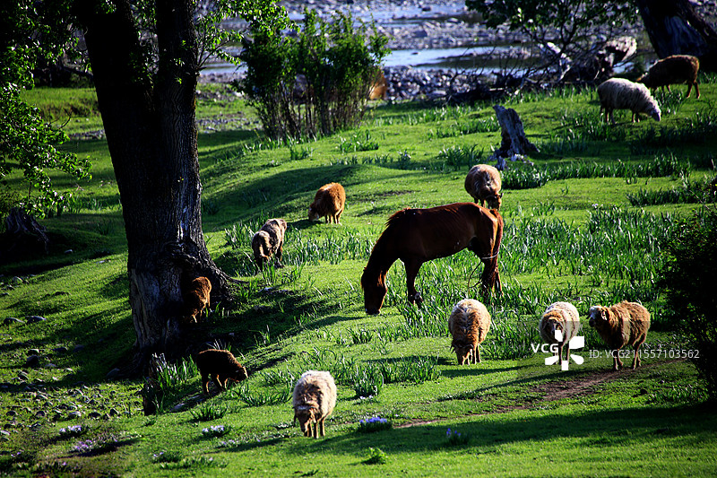美丽新疆图片素材