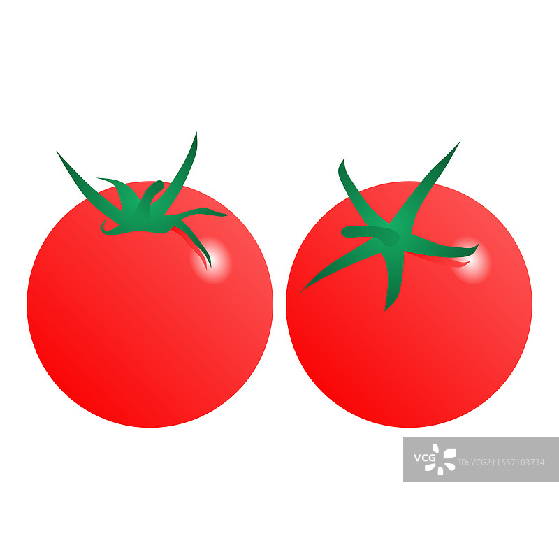 新鲜成熟的红番茄图片素材