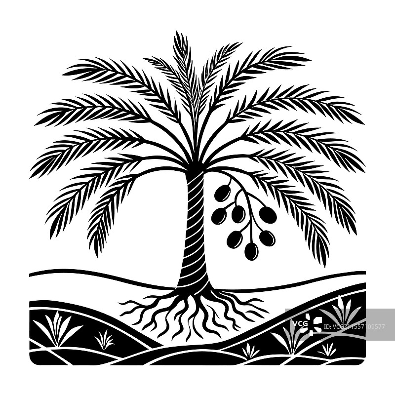 雄伟的椰枣树剪影图片素材