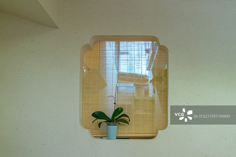 中国野生植物盆栽植物拍摄主题，窗户上的盆栽植物兰花，室内无人图像摄影图片素材