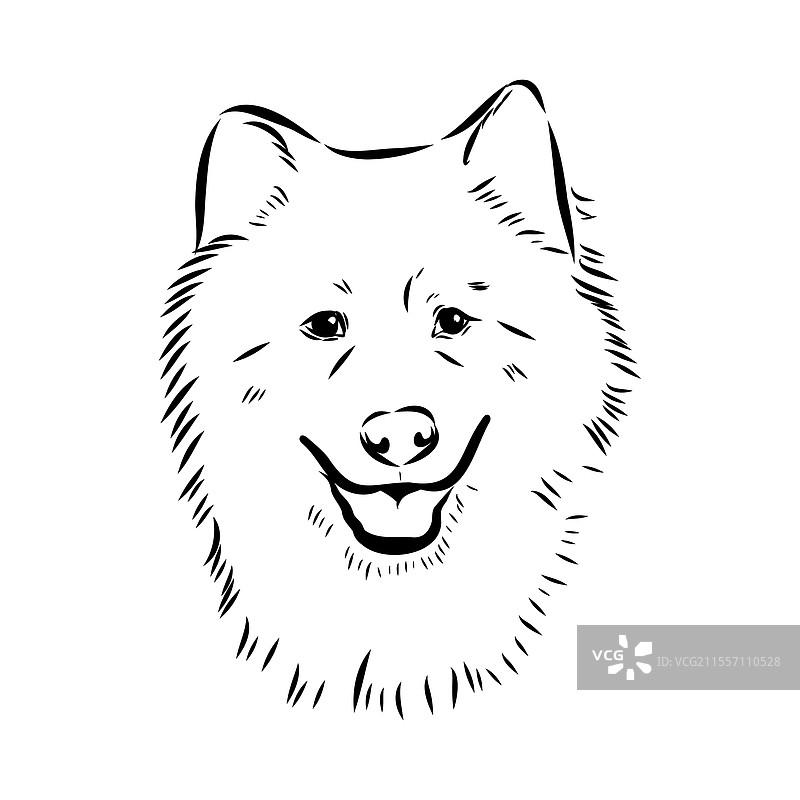 坐着的泰国邦卡乌犬轮廓图片素材