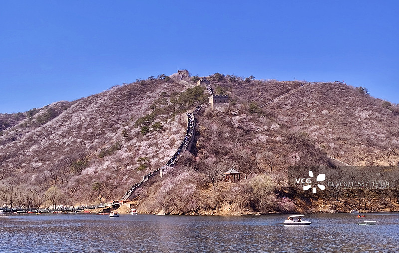 长城与漫山桃花图片素材