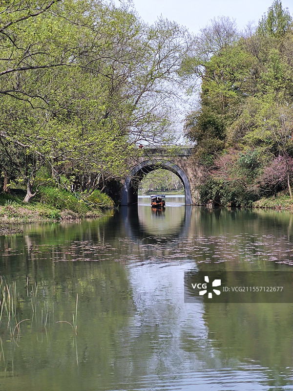 春天里的杭州西湖浴鹄湾乌龟潭风光，树叶刚刚发芽，樱花盛开，桥洞中小船划过图片素材