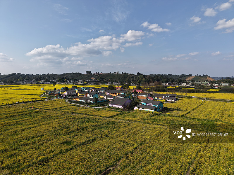 四川省乐山市夹江县团结村油菜花田园风光图片素材
