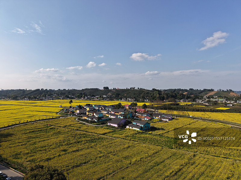 四川省乐山市夹江县团结村油菜花田园风光图片素材