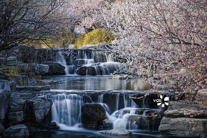 国家植物园山桃花溪图片素材