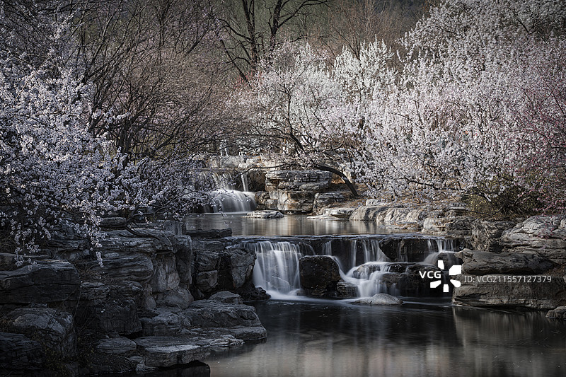 国家植物园山桃花溪图片素材