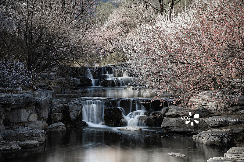 国家植物园山桃花溪图片素材