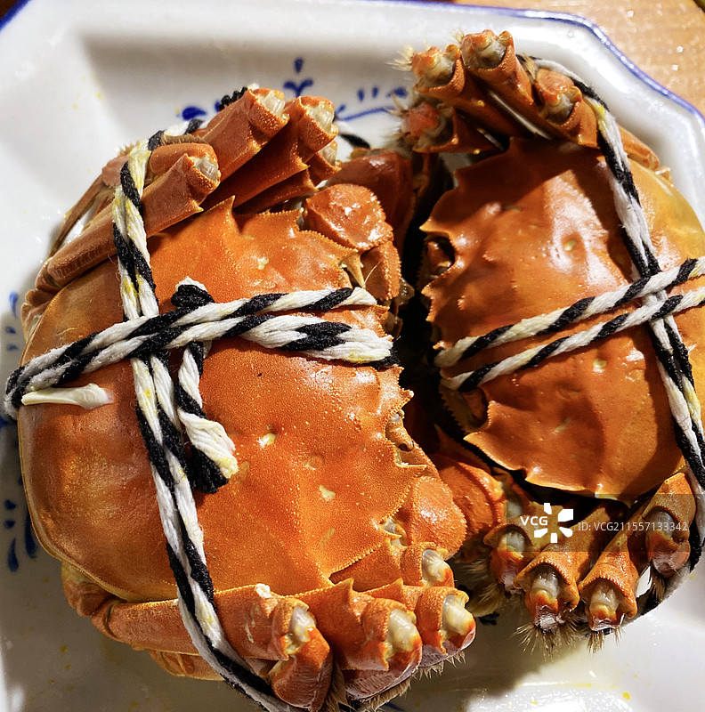 阳澄湖大闸蟹图片素材