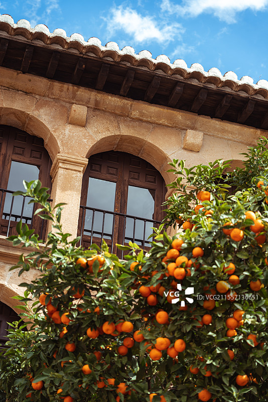 西班牙龙达悬崖小镇的风光/街道/新桥旧桥/教堂图片素材