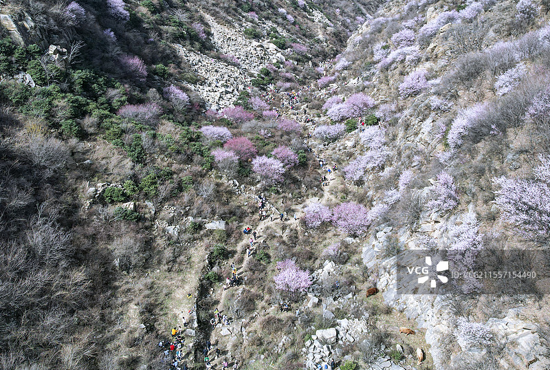 蓝田三凤山春景图片素材
