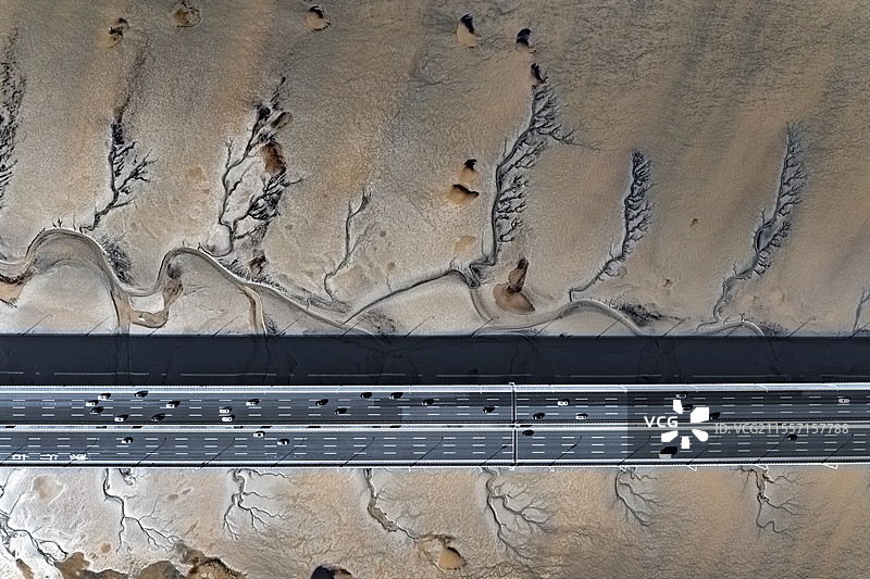 钱塘江潮汐树图片素材